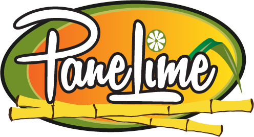 PNL Logo